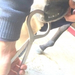 PINZA DE TEST PARA CASCOS