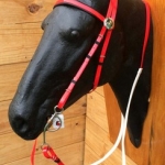 RIENDA Y CABEZADA EN BIOTHANE