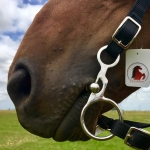 FRENO 4 GOZNES CORRECTION